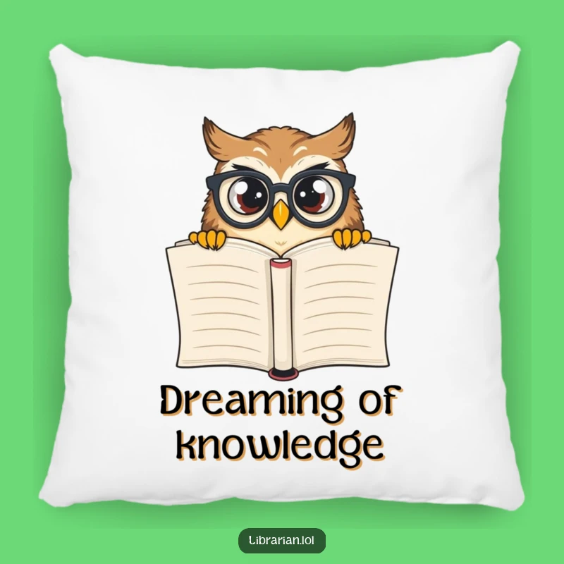 Cozy Funny Owl Pillow: Adorable Reading Companion, Perfect Funny Gift for Chill Vibes